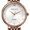 ECSTATIC – Round Design, Brown Case, Metal Strap, White Dial Women’s Watch